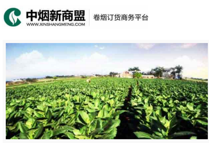 中烟新商盟卷烟订货商务平台-掌中彩welcome